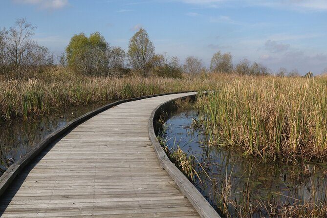 Self-Guided Audio Driving Tour in Creole Nature Trail - Final Thoughts