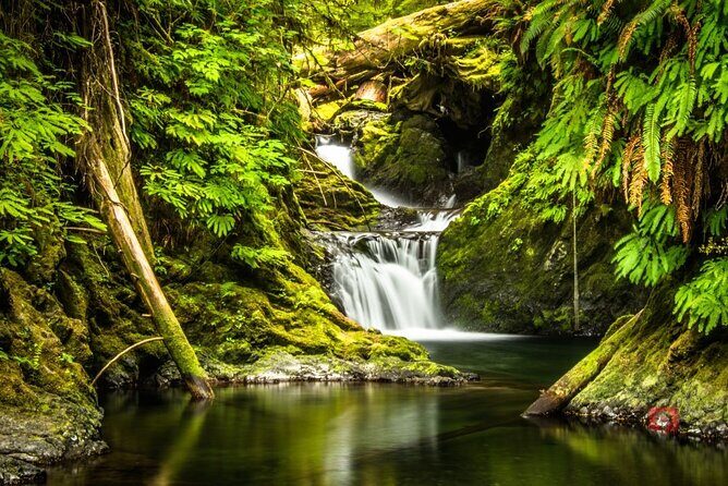 Self-Guided Audio Driving Tour in Olympic National Park - Final Thoughts: Who Will Love This Tour?