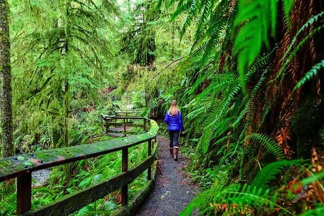 Self-Guided Audio Driving Tour in Olympic National Park - FAQ: Your Questions About the Olympic National Park Audio Tour