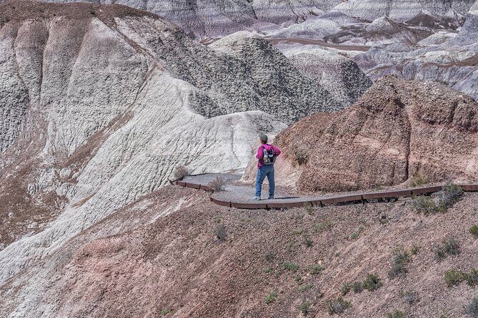 Self-Guided Audio Driving Tour in Petrified Forest National Park - Practical Tips for Making the Most of the Tour
