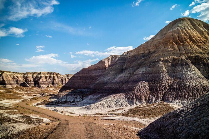 Self-Guided Audio Driving Tour in Petrified Forest National Park - Final Verdict