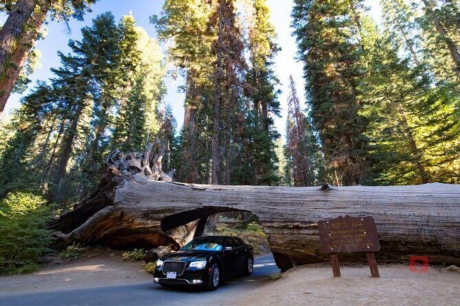 Self-Guided Audio Driving Tour in Sequoia and Kings Canyon - FAQ