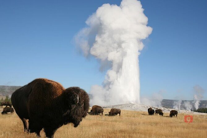Self-Guided Audio Driving Tour in Yellowstone and Grand Teton - Who Will Love This Tour?