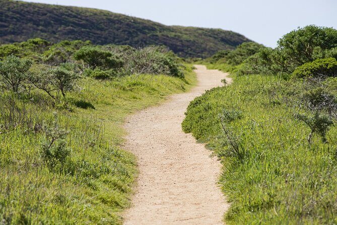 Self-Guided Audio Driving Tour of Point Reyes National Seashore - In-Depth Look at the Tour Experience