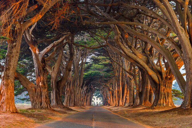 Self-Guided Audio Driving Tour of Point Reyes National Seashore - FAQs