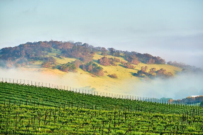 Self-Guided Audio Driving Tour of Sonoma and Napa Valley - Discovering the Stops: What to Expect