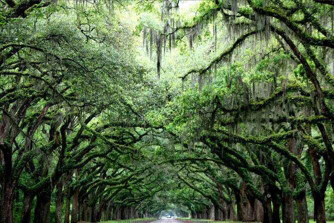 Self-Guided Audio Ghost Tour Through Savannah Shadows - FAQs