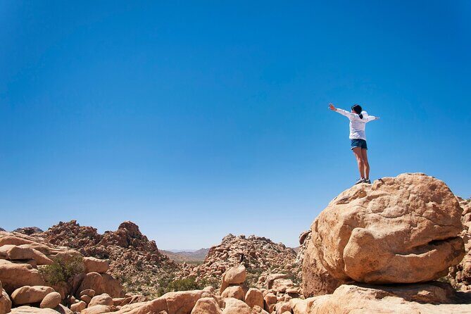 Self Guided Audio Tour of Joshua Trees Hidden Valley Trail - An In-Depth Look at the Tour Experience