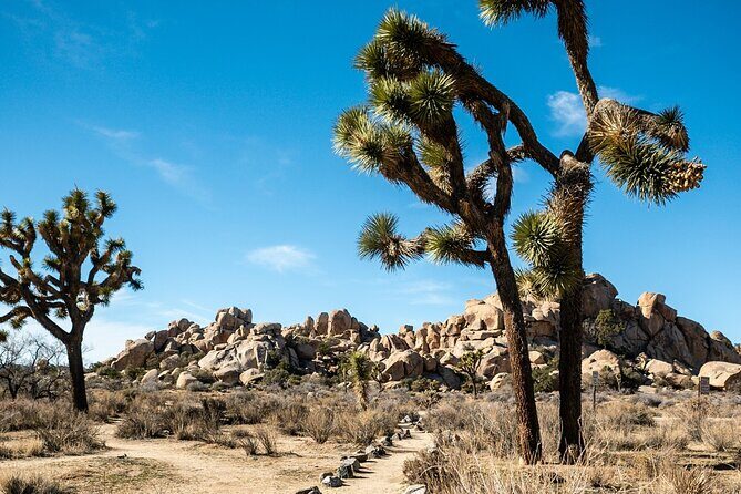 Self Guided Audio Tour of Joshua Trees Hidden Valley Trail - FAQ