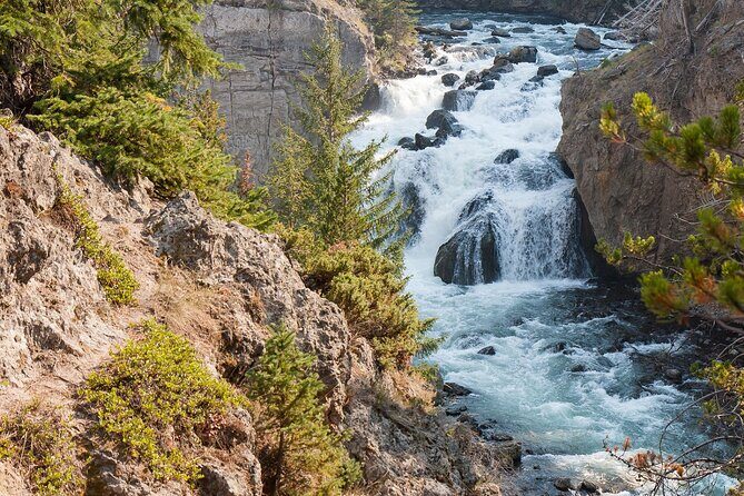 Self-Guided Audio Walking Tour to Grand Prismatic Overlook - The Sum Up