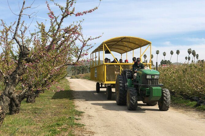 Self-Guided Bakersfield Scavenger Hunt: Resilient Bakersfield - Starting and Ending Your Adventure