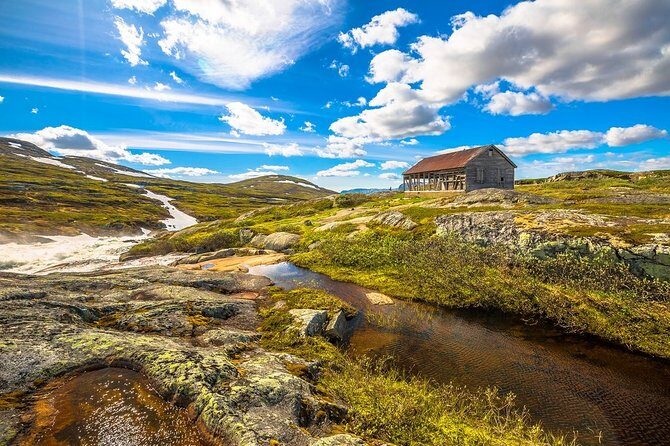 Self-Guided Bergen to Oslo Daytrip With Flamsbana & Fjordcruise - Pricing and Value