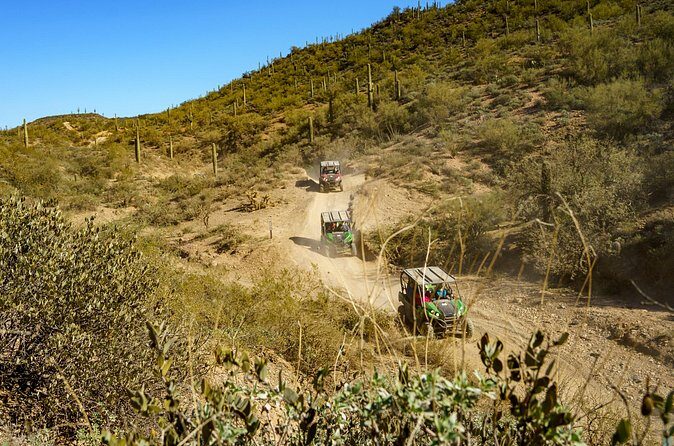 Self-Guided Centipede Desert UTV Rental - Who Might Want to Consider Other Options?