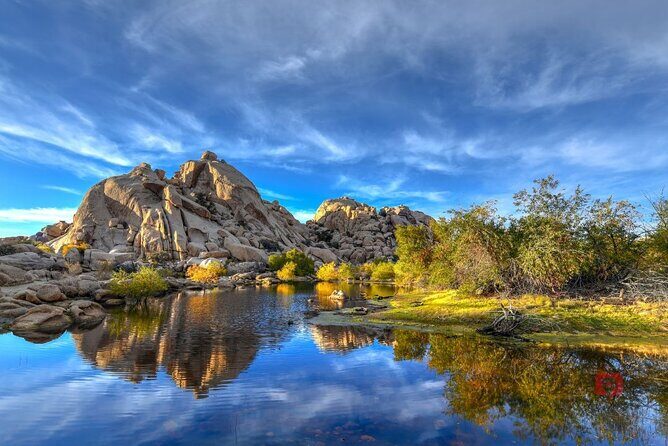 Self-Guided Driving Audio Tour in Joshua Tree National Park - Who Will Love This Tour?