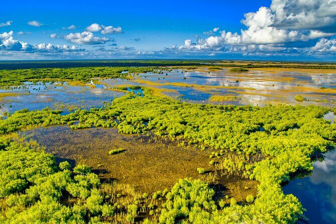 Self Guided Driving Audio Tour of Everglades National Park - Who Is This Tour Best For?