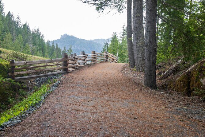 Self Guided Driving Audio Tour of Mount Rainier National Park - How it Stacks Up: Price and Value