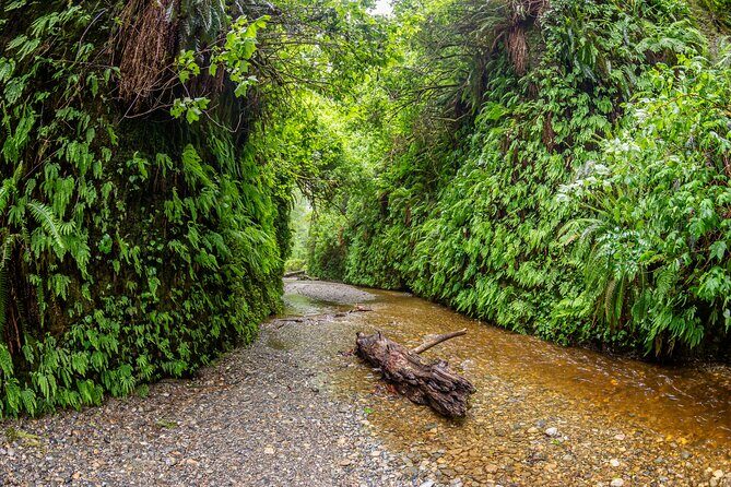 Self Guided Driving Audio Tour of Redwood National and State Park - Final Thoughts