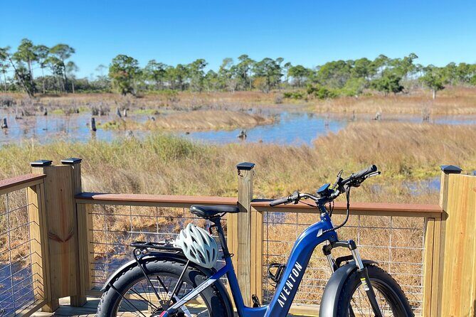 Self-Guided E-Bike or Cruiser Bike Tour of St. Andrews State Park - Who’s This Bike Tour Best For?
