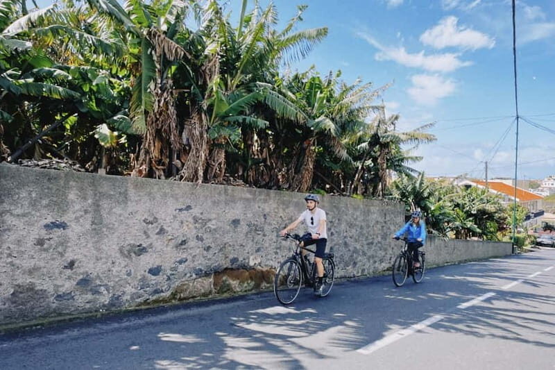 Self-Guided E-Bike Road Tour - Funchal to Câmara de Lobos - The Experience in Detail