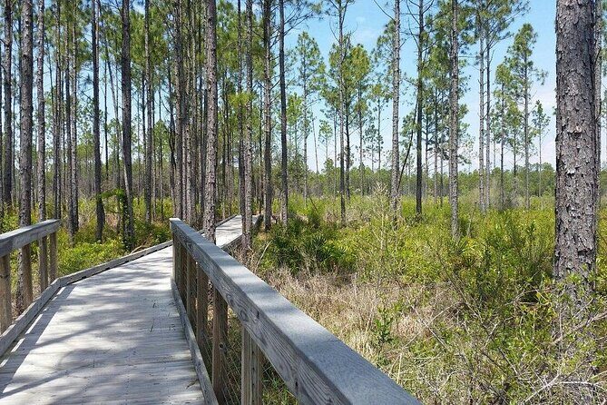 Self Guided E-Bike Tour of Panama City Beach - Who Should Consider This Tour?