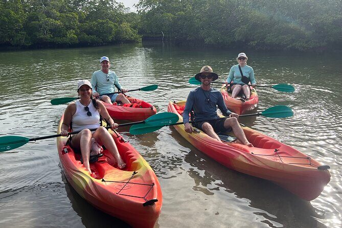 Self Guided EcoTour: Clear/Standard Kayaks -Bonita Springs - What to Expect from Your Bonita Springs Kayak EcoTour