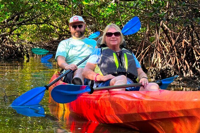Self Guided EcoTour: Clear/Standard Kayaks -Bonita Springs - The Verdict: Who Should Consider This Tour?