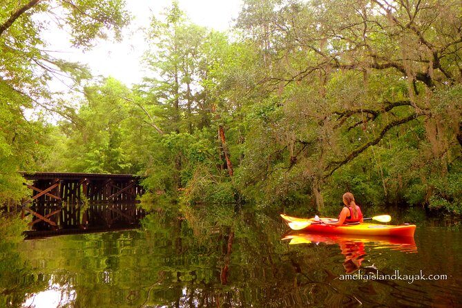 Self Guided Family Friendly Kayak Rental Experience Old Florida - A Close Look at the Experience