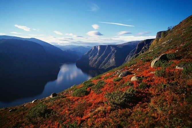 Self-Guided Full Day Round-trip From Bergen - Is It Worth the Price?