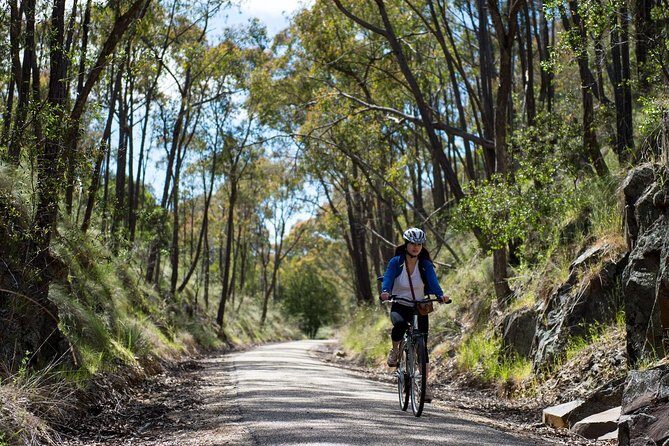 Self-Guided Gourmet Culinary Cycling Day Tour From Beechworth - The Experience in Detail