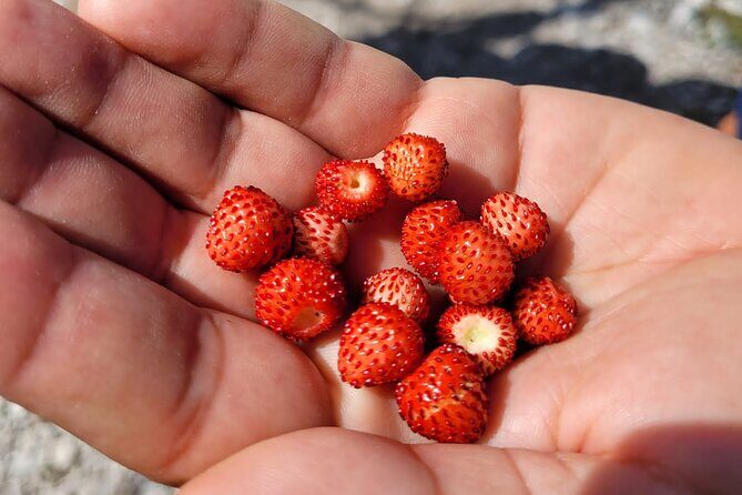 Self-Guided Hiking Tour: Theth, Valbona & Koman Lake in 3 Days - Authenticity & Traveler Feedback
