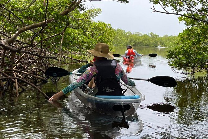 Self-Guided Island Tour: CLEAR/Standard Kayak, SUP-Bonita Springs - A Deep Dive into What You Can Expect