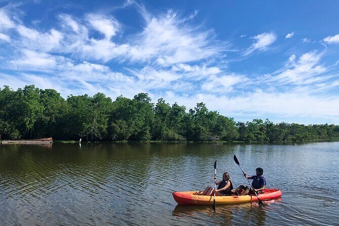 Self Guided Kayak Bayou Swamp Tour - Key Points