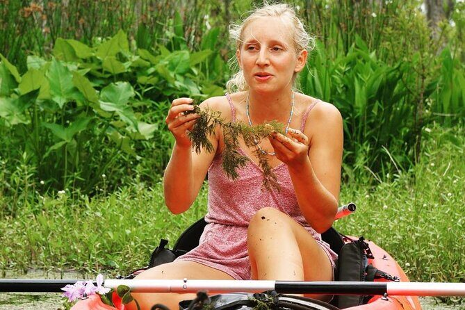 Self Guided Kayak Bayou Swamp Tour - Final Thoughts