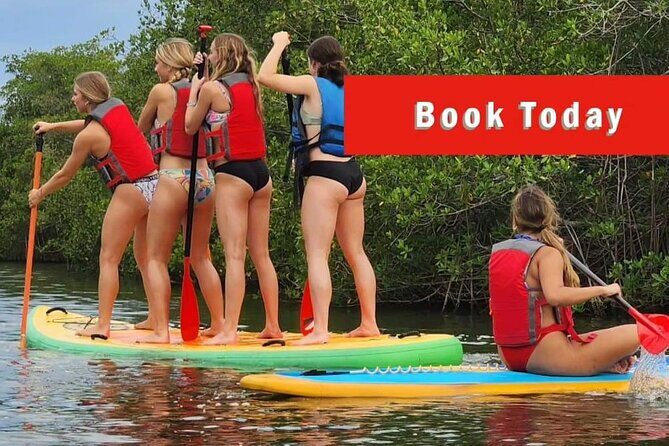 Self-Guided Kayaking Manatee and Dolphin Tour - The Itinerary and Experience Breakdown