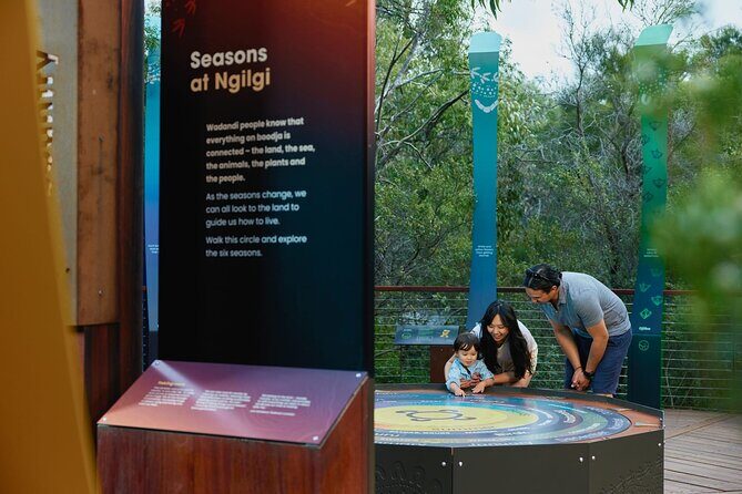 Self-Guided Ngilgi Cave Ancient Lands Experience - Who Is This Tour Best Suited For?