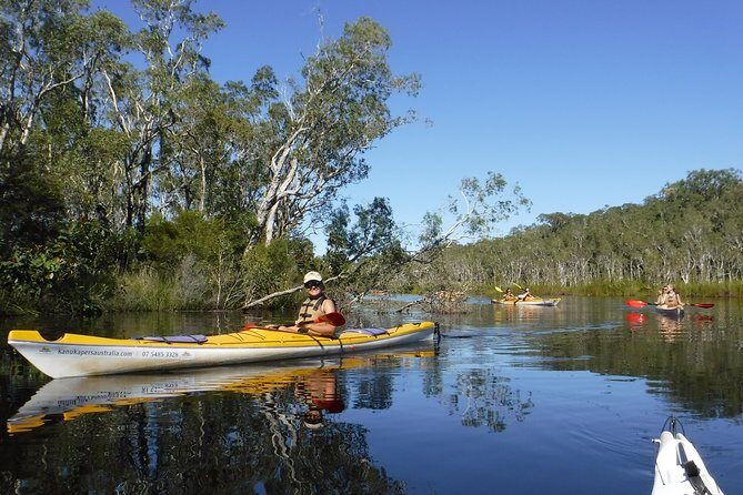 Self-Guided Noosa Everglades Kayak Tour - Key Points