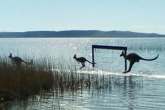 Self-Guided Noosa Everglades Kayak Tour - FAQ