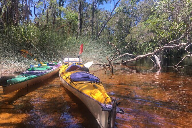 Self-Guided Noosa Everglades Kayak Tour - Summing It Up