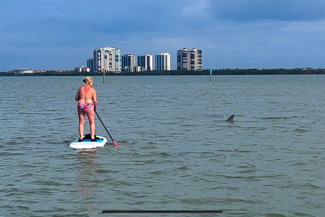 Self Guided Standup Paddle Board EcoTour -Bonita Springs - The Experience – What Makes It Special