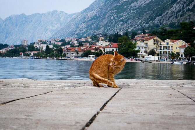 Self Guided Stroll Through Old Town of Kotor - Final Thoughts