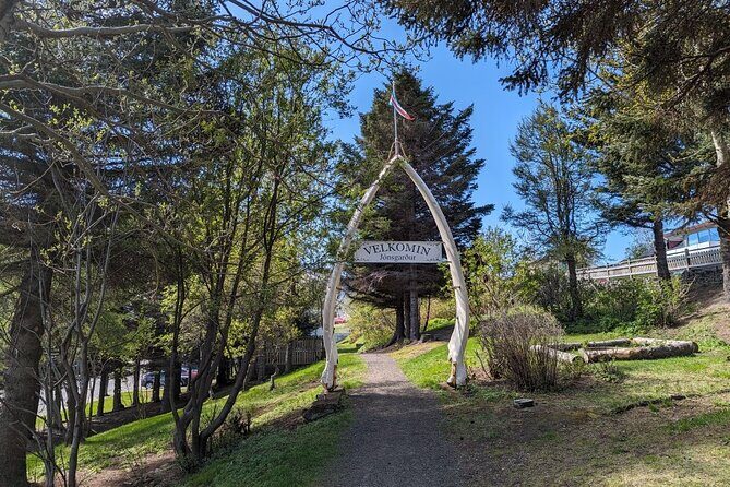 Self-Guided Tour of Ísafjörður: Art, History, and Architecture - Key Points