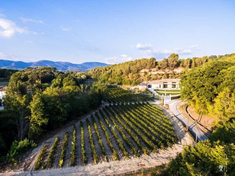 Self tour of the olive oil mill & olive oil tasting - Introduction