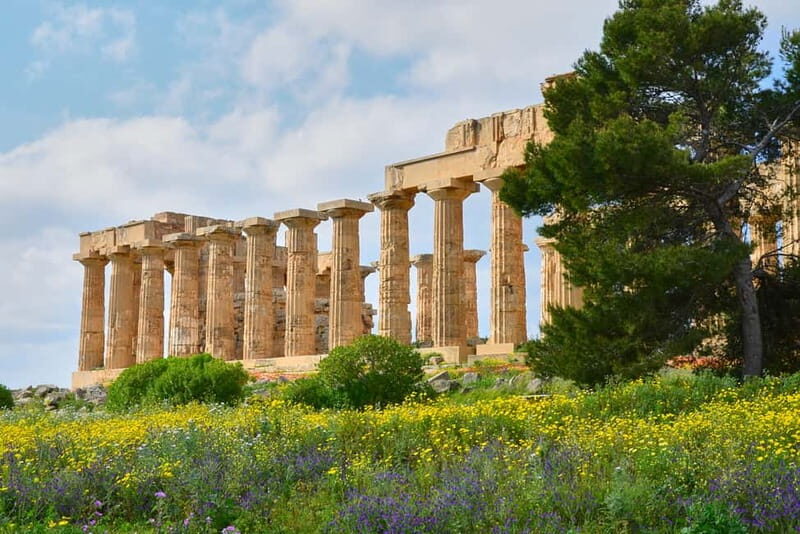 Selinunte: Archeological Park Entry Ticket & App Audioguide - What is Included and What to Expect