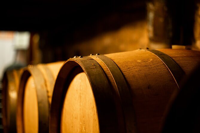 Sella delle Spine Taurasi: Tasting, Vineyard and Cellar Tour - What to Expect from the Sella delle Spine Taurasi Tour