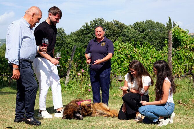 Sella delle Spine Taurasi: Tasting, Vineyard and Cellar Tour - Practical Details