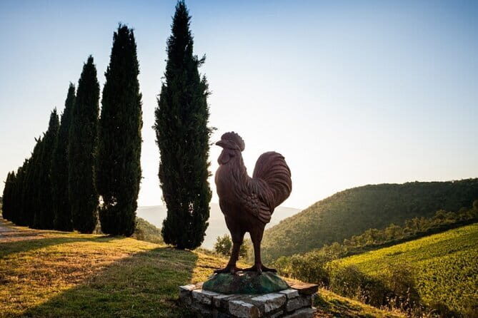 Semi-Private Chianti Wine Tour with Dinner in Tuscany Vineyard - Final Thoughts