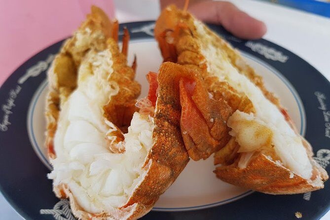 Semi - Private Fishing Tour (transportation included) - Final Thoughts: Who Is This Tour Best Suited For?