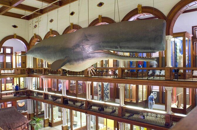 Semi Private Honolulu Historical Tour - The Experience: What It Feels Like