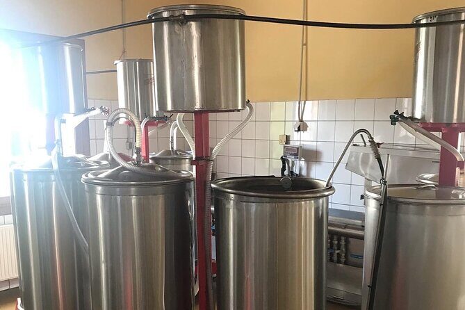 Semi- Private Olive Grove and Dragon Fruit Farm with Tastings - The Practicalities: What You Need to Know