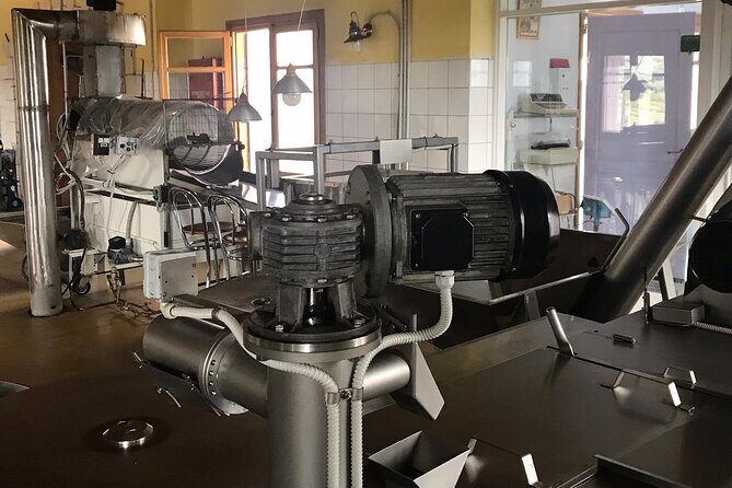 Semi- Private Olive Grove and Dragon Fruit Farm with Tastings - Who Is This Tour Best Suited For?